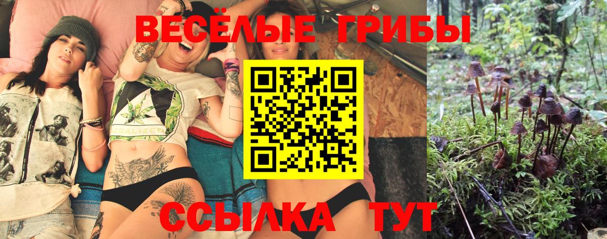 Златоуст  Псилоцибиновые грибы Cubensis  Вход с VPN  Галлюциногенные грибы Magic Shrooms 