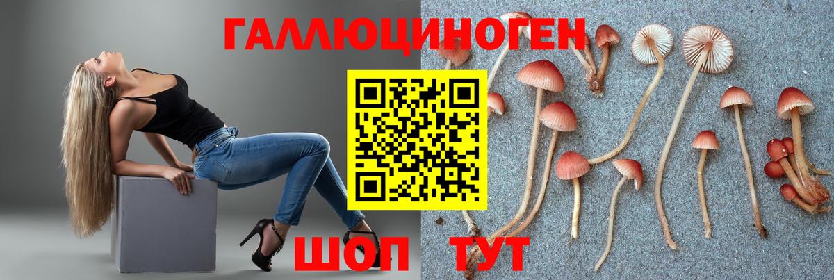 Златоуст  APVP СК кристаллы  Вход с VPN  Меф МЯУ МЯУ кристаллы  Гашиш  Кокаин  Марихуана 